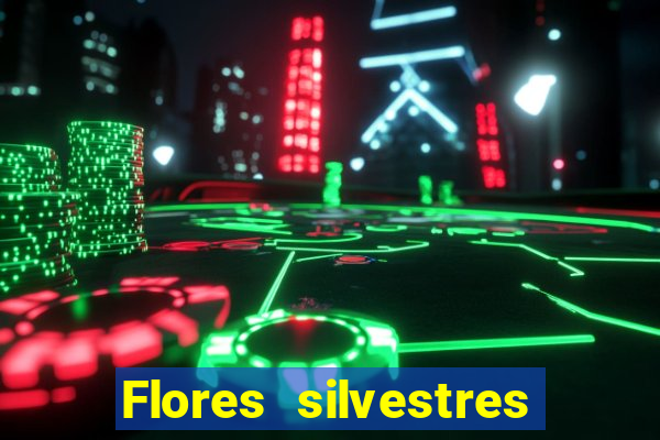 Flores silvestres brasileiras 25